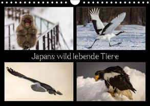 Japans wild lebende Tiere (Wandkalender 2018 DIN A4 quer) von Schwarz Fotografie,  Thomas