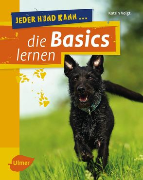 Jeder Hund kann die Basics lernen von Voigt,  Dr. Katrin