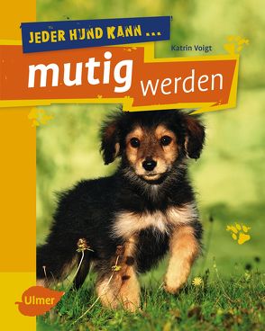 Jeder Hund kann mutig werden von Voigt,  Dr. Katrin