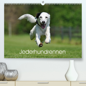 Jederhundrennen (Premium, hochwertiger DIN A2 Wandkalender 2020, Kunstdruck in Hochglanz) von Schiewe,  Regina