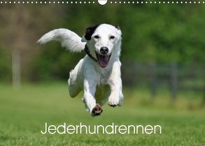 Jederhundrennen (Wandkalender 2019 DIN A3 quer) von Schiewe,  Regina