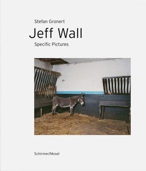 Jeff Wall. Specific Pictures von Gronert,  Stefan