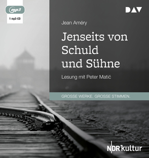 Jenseits von Schuld und Sühne von Améry,  Jean, Matic,  Peter