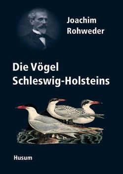 Joachim Rohwedder (1841-1905) und die „Vögel Schleswig-Holsteins“ von Berndt,  Rolf. K.