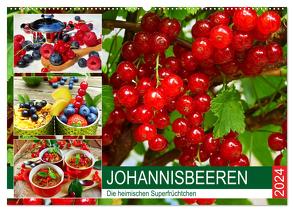 Johannisbeeren. Die heimischen Superfrüchtchen (Wandkalender 2024 DIN A2 quer), CALVENDO Monatskalender von Hurley,  Rose