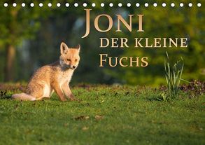 Joni, der kleine Fuchs (Tischkalender 2020 DIN A5 quer) von Zerletti,  Marcello