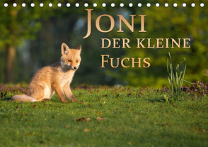 Joni, der kleine Fuchs (Tischkalender 2021 DIN A5 quer) von Zerletti,  Marcello