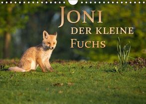 Joni, der kleine Fuchs (Wandkalender 2018 DIN A4 quer) von Zerletti,  Marcello