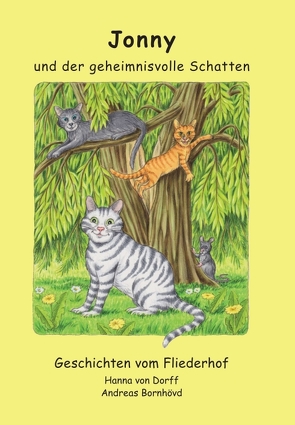 Jonny und der geheimnisvolle Schatten von Bornhövd (Illustrator),  Andreas, von Dorff,  Hanna