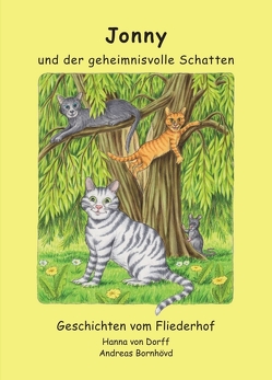 Jonny und der geheimnisvolle Schatten von Bornhövd (Illustrator),  Andreas, von Dorff,  Hanna