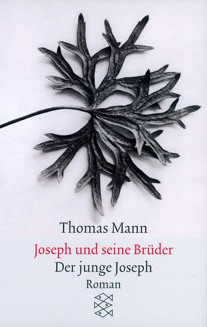 Joseph und seine Brüder II. Der junge Joseph von Mann,  Thomas