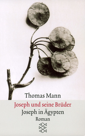 Joseph und seine Brüder III. Joseph in Ägypten von Mann,  Thomas