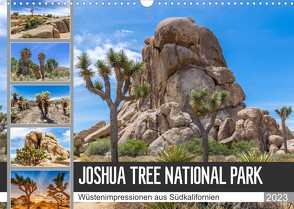 JOSHUA TREE NATIONAL PARK Wüstenimpressionen aus Südkalifornien (Wandkalender 2023 DIN A3 quer) von Viola,  Melanie