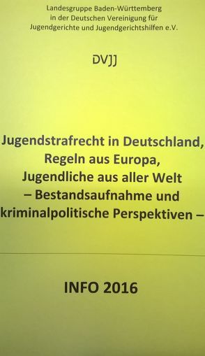 Jugendstrafrecht in Deutschland, Regeln aus Europa, Jugendliche aus aller Welt von Dölling,  Dieter, Klippstein,  Bernd