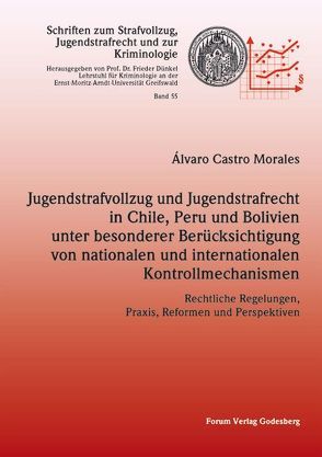 Jugendstrafvollzug und Jugendstrafrecht in Chile, Peru und Bolivien unter besonderer Berücksichtigung von nationalen und internationalen Kontrollmechanismen von Castro Morales,  Álvaro