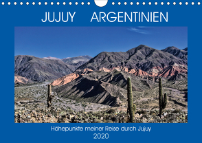 JUJUY ARGENTINIEN (Wandkalender 2020 DIN A4 quer) von Spiller,  Antonio