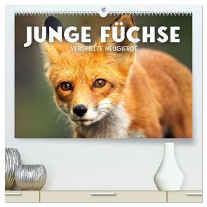 Junge Füchse – Verspielte Neugierde. (hochwertiger Premium Wandkalender 2024 DIN A2 quer), Kunstdruck in Hochglanz von SF,  SF