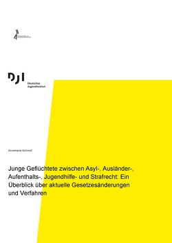 Junge Geflüchtete zwischen Asyl-, Ausländer-, Aufenthalts-, Jugendhilfe- und Strafrecht: Ein Überblick über aktuelle Gesetzesänderungen und Verfahren von Schmoll,  Annemarie