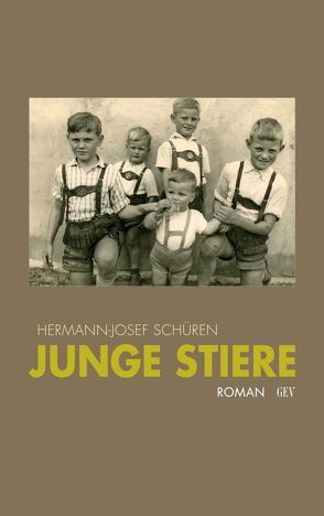 Junge Stiere von Schüren,  Hermann Josef