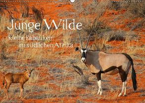 Junge Wilde – Kleine Rabauken im südlichen AfrikaCH-Version (Wandkalender 2018 DIN A2 quer) von Schneeberger,  Daniel