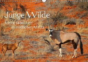 Junge Wilde – Kleine Rabauken im südlichen AfrikaCH-Version (Wandkalender 2018 DIN A3 quer) von Schneeberger,  Daniel