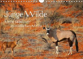 Junge Wilde – Kleine Rabauken im südlichen AfrikaCH-Version (Wandkalender 2018 DIN A4 quer) von Schneeberger,  Daniel