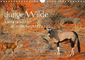 Junge Wilde – Kleine Rabauken im südlichen AfrikaCH-Version (Wandkalender 2019 DIN A4 quer) von Schneeberger,  Daniel