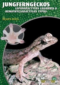 Jungferngeckos von Röll,  Beate