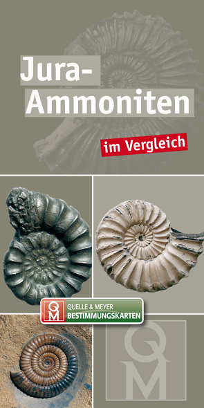 Jura-Ammoniten von Quelle & Meyer Verlag