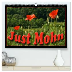 Just Mohn (hochwertiger Premium Wandkalender 2024 DIN A2 quer), Kunstdruck in Hochglanz von Flori0,  Flori0