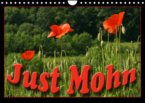 Just Mohn (Wandkalender 2023 DIN A4 quer) von Flori0