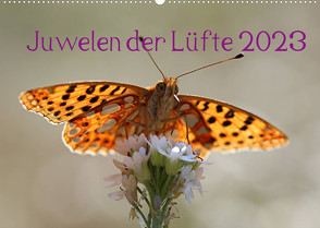 Juwelen der Lüfte 2023 (Wandkalender 2023 DIN A2 quer) von Witkowski,  Bernd