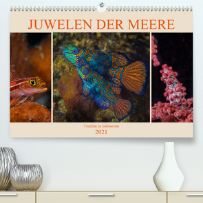 Juwelen der Meere (Premium, hochwertiger DIN A2 Wandkalender 2021, Kunstdruck in Hochglanz) von Gödecke,  Dieter