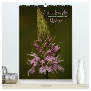 Juwelen der Natur – Ein Orchideensommer (hochwertiger Premium Wandkalender 2024 DIN A2 hoch), Kunstdruck in Hochglanz von Stamm,  Dirk