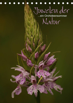 Juwelen der Natur – Ein Orchideensommer (Tischkalender 2022 DIN A5 hoch) von Stamm,  Dirk