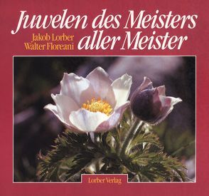 Juwelen des Meisters aller Meister von Floreani,  Walter, Lorber,  Jakob