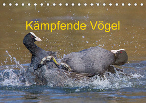 Kämpfende Vögel (Tischkalender 2023 DIN A5 quer) von Martin (GDT),  Wilfried