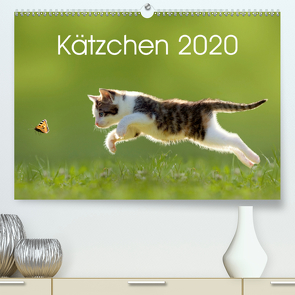 Kätzchen 2020 (Premium, hochwertiger DIN A2 Wandkalender 2020, Kunstdruck in Hochglanz) von LEOBA