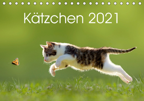 Kätzchen 2021 (Tischkalender 2021 DIN A5 quer) von LEOBA