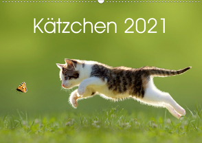 Kätzchen 2021 (Wandkalender 2021 DIN A2 quer) von LEOBA