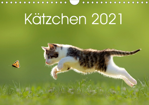 Kätzchen 2021 (Wandkalender 2021 DIN A4 quer) von LEOBA