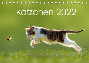 Kätzchen 2022 (Tischkalender 2022 DIN A5 quer) von LEOBA