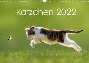 Kätzchen 2022 (Wandkalender 2022 DIN A3 quer) von LEOBA