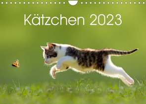 Kätzchen 2023 (Wandkalender 2023 DIN A4 quer) von LEOBA