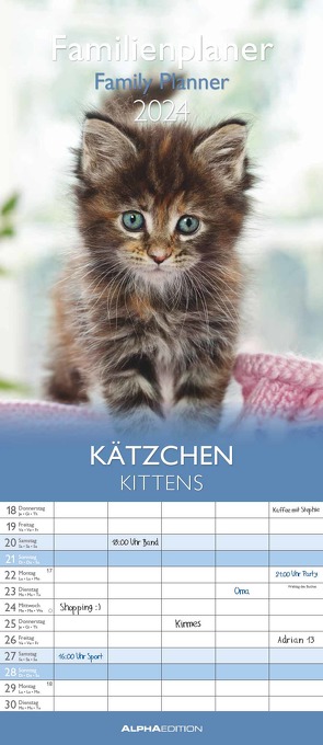 Kätzchen 2024 Familienplaner – Familienkalender – Wandkalender – 19,5×45