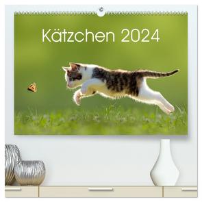 Kätzchen 2024 (hochwertiger Premium Wandkalender 2024 DIN A2 quer), Kunstdruck in Hochglanz von LEOBA,  LEOBA