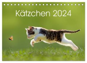 Kätzchen 2024 (Tischkalender 2024 DIN A5 quer), CALVENDO Monatskalender von LEOBA,  LEOBA