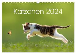 Kätzchen 2024 (Wandkalender 2024 DIN A3 quer), CALVENDO Monatskalender von LEOBA,  LEOBA