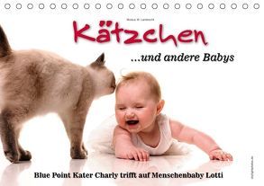 Kätzchen und andere Babys (Tischkalender 2018 DIN A5 quer) von W. Lambrecht,  Markus