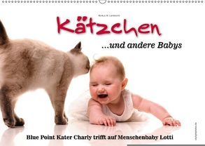 Kätzchen und andere Babys (Wandkalender 2018 DIN A2 quer) von W. Lambrecht,  Markus